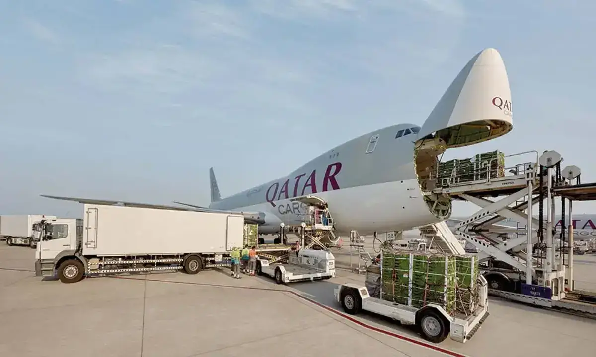 Perishable air cargo export service to Maldives